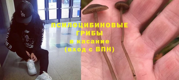 прущий лед Богородск