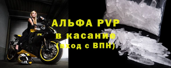 гашик Богданович
