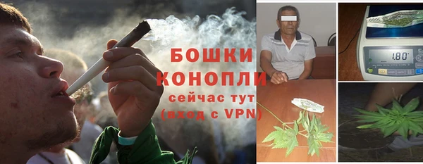 гашик Богданович