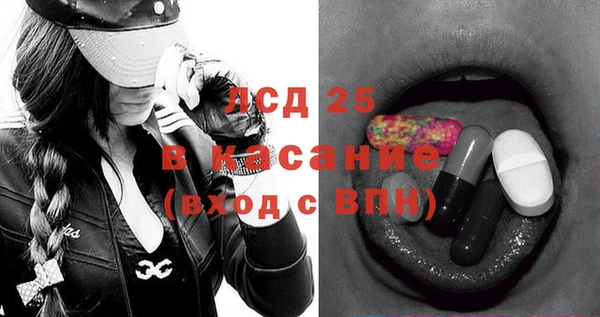 гашик Богданович