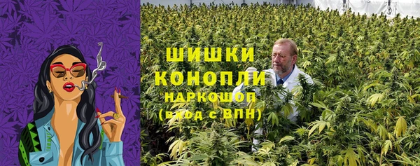 гашик Богданович