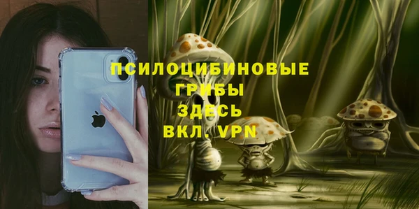 гашик Богданович