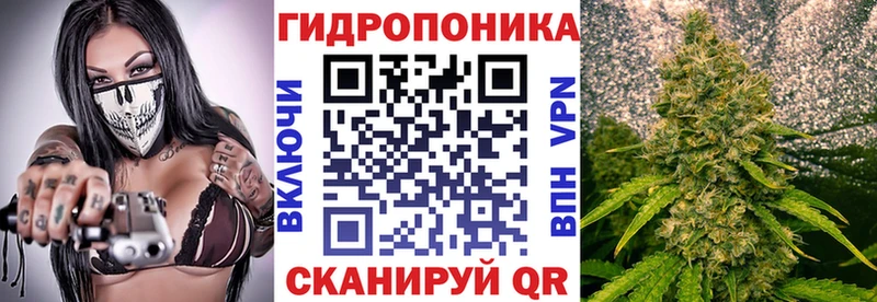 Конопля ГИДРОПОН  купить наркотики цена  Сковородино 